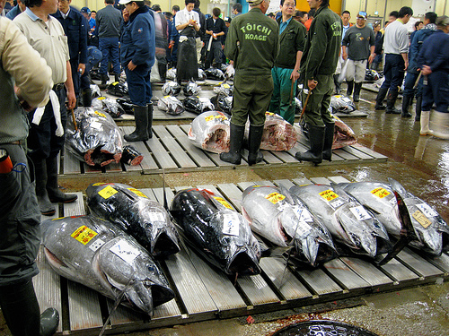 Der Handel geht weiter: Auf dem Tokioter Fischmarkt in Tsukiji.