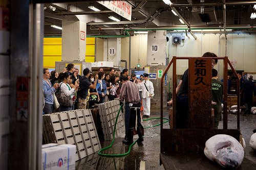 Bald ein Bild der Vergangenheit: nur noch eine begrenzte Anzahl Touristen soll Zutritt zum Tokioter Fischmarkt Tsukiji erhalten.