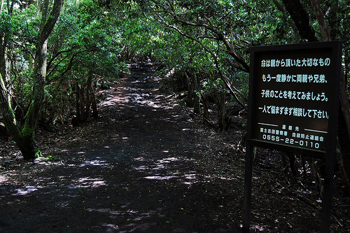«Das Leben ist etwas Wertvolles»: Ein Schild am Eingang des Aokigahara-Waldes versucht Suizidgefährdete von ihrer Tat abzuhalten.