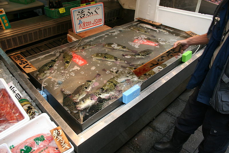Beim Kugelfisch-Verkäufer in Japan.
