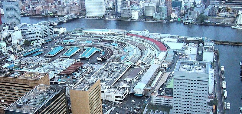 Der grösste Fischmarkt der Welt. Tsukiji in Tokio.