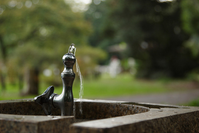Trinkwasser in einem Park in Tokio.