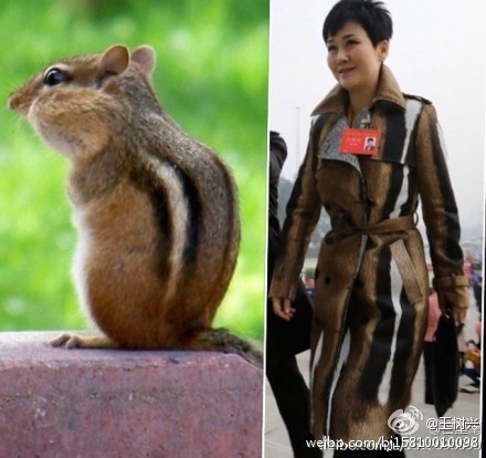 Weibo-User vergleicht Li mit Streifenhörnchen.