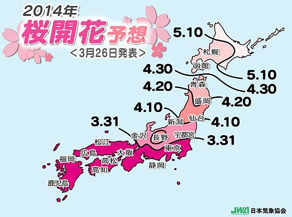 Kirschblüten-Vorhersagen: Im März in Kyushi, im Mai auf Hokkaido.