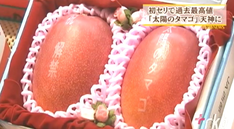 Edle Mango im Wert von 300'000 Yen.