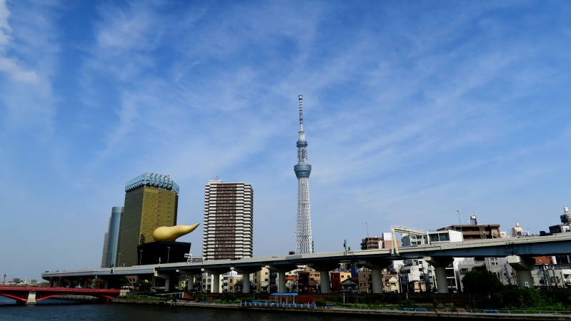 Ein Touristenmagnet: Der Skytree in Tokio.