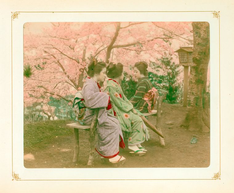Unter den Kirschblüten: Kimbei spezialisierte sich auch auf Porträts.
