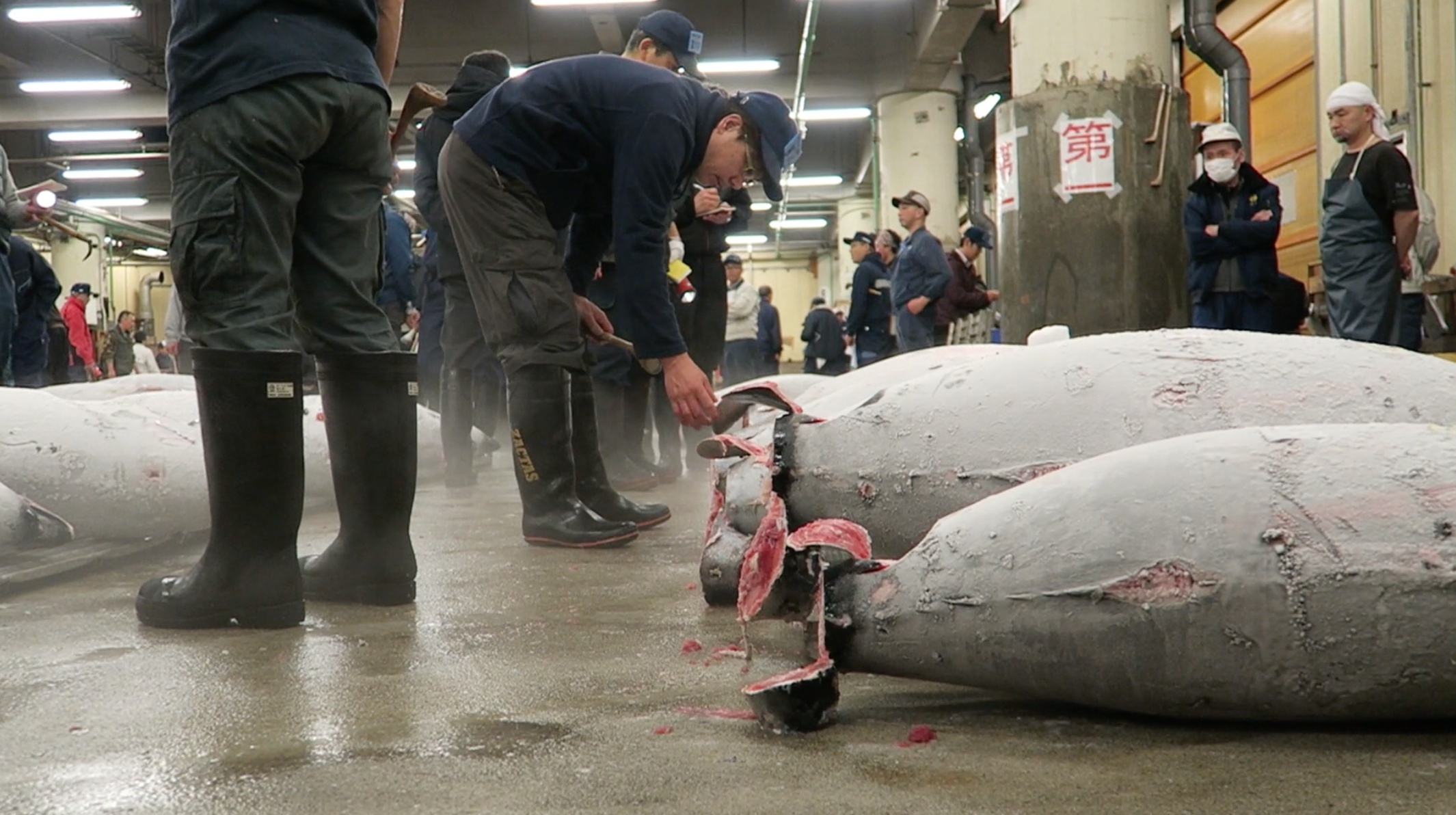 Thunfischauktion in Tsukiji.