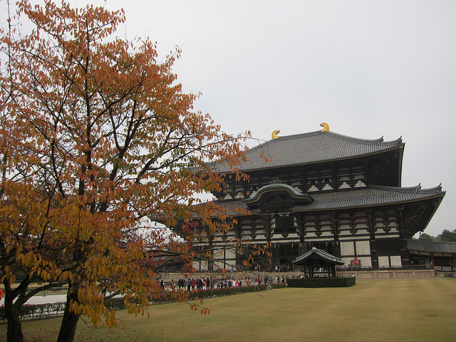 Der Todaiji in Nara soll das grösste hölzerne Gebäude der Welt sein.