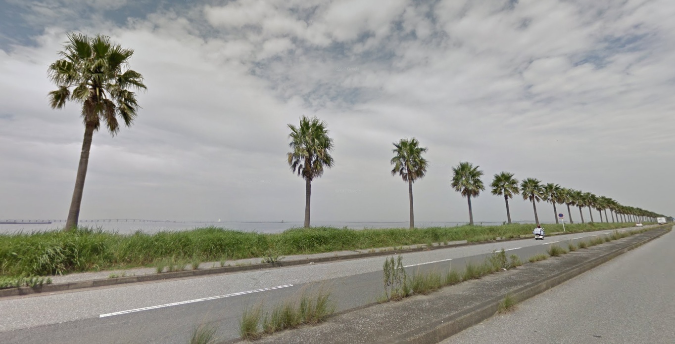 Chibafornia: Die Palmenstrasse von Sodegaura.
