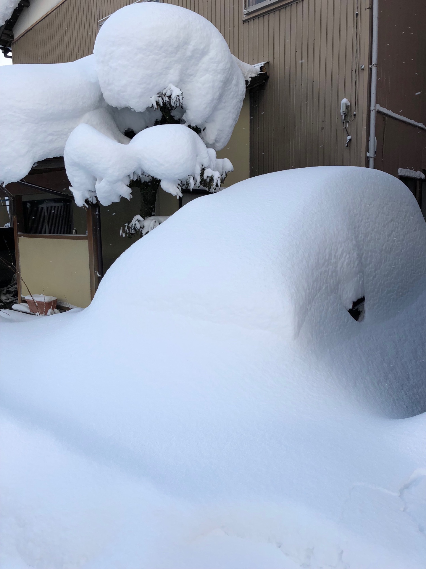 Schnee in der Präfektur Ishikawa: Vom Auto ist in nichts mehr zu sehen.