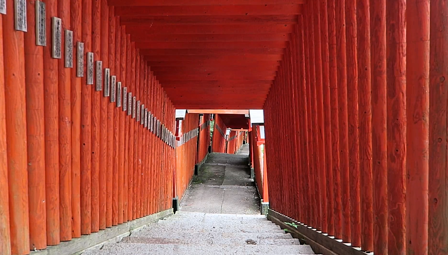 263 Stufen und 1000 Torii: Der Inari-Schrein in Tsuwano.