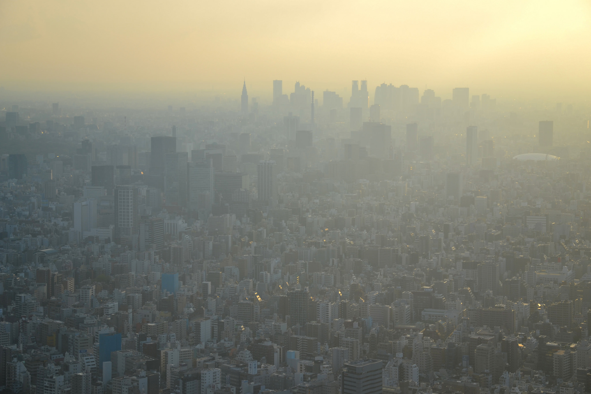 Die Sicht auf Tokyo vom Skytree.