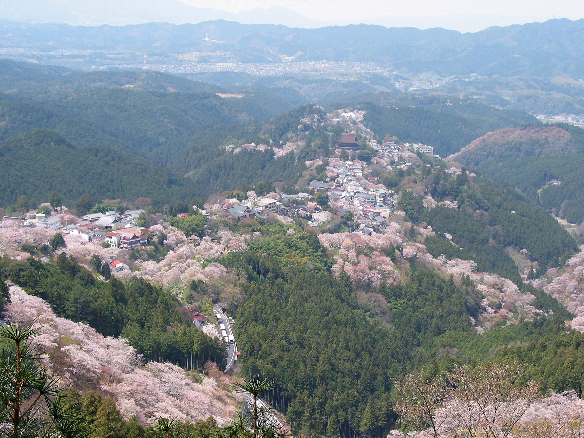 Sicht auf den Kirschblütenberg Yoshinoyama.