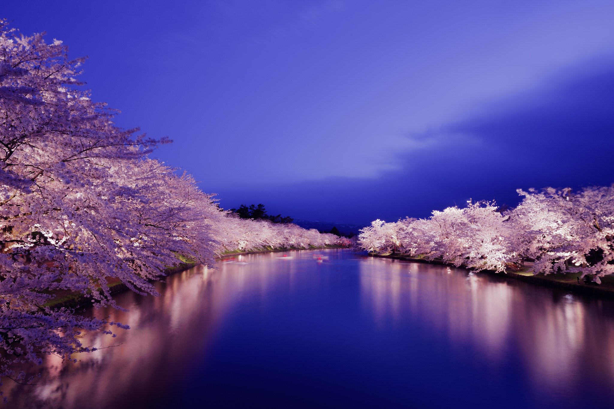 Kirschblütenzeit im Norden Japans | Asienspiegel