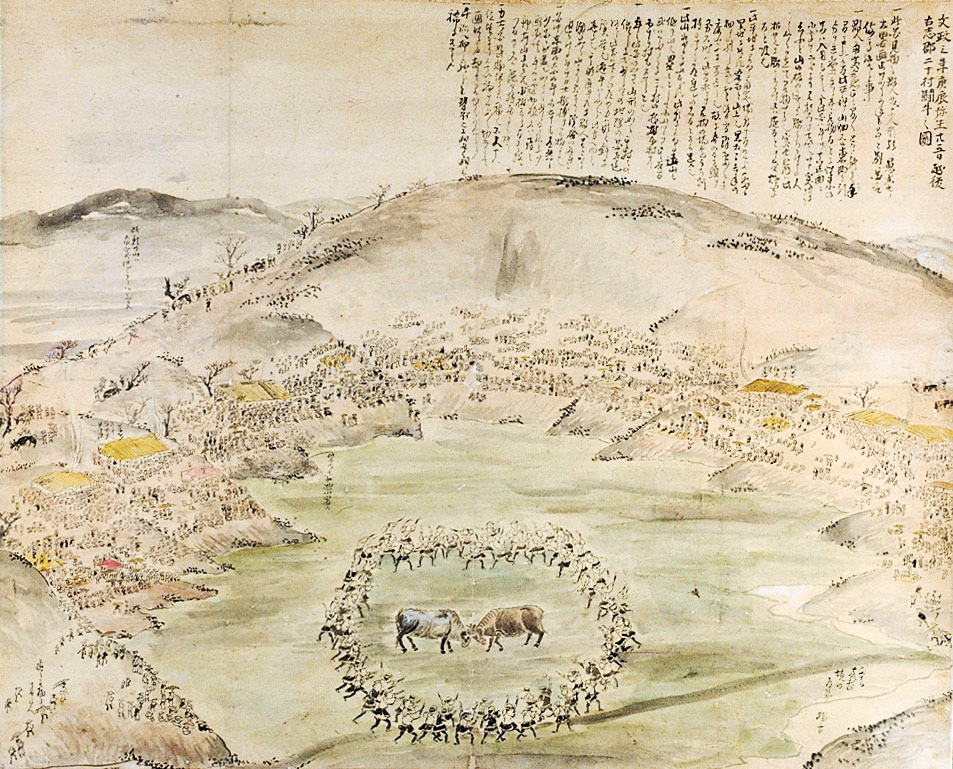 Stierkampf in Niigata um 1820.