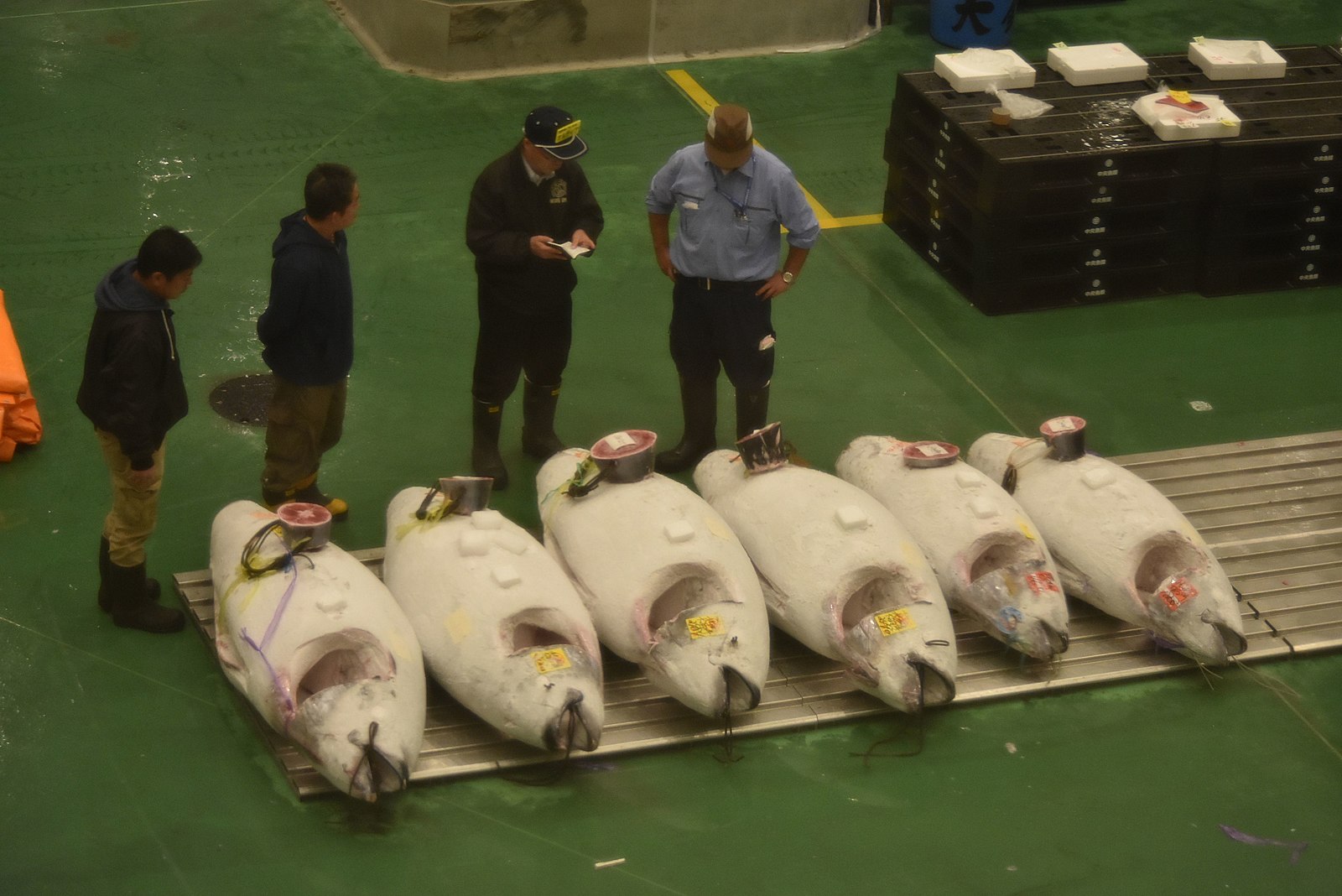 Thunfisch-Handel im neu­en Fisch­markt von Toyosu.