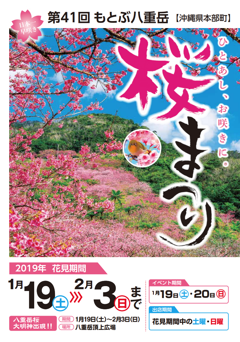 Das Plakat für Japans frühestes Kirschblütenfest des Jahres in Motobu, Okinawa.