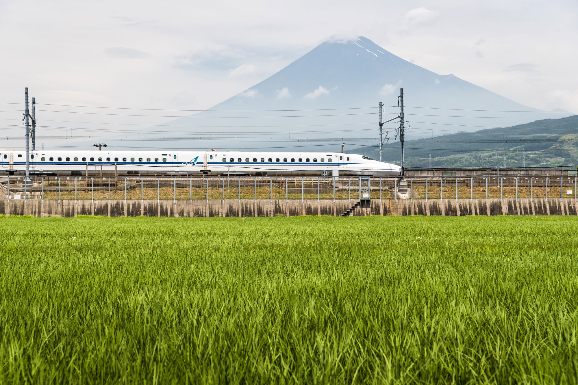 Zurück nach Tokio: Der Shinkansen vor dem Fuji.