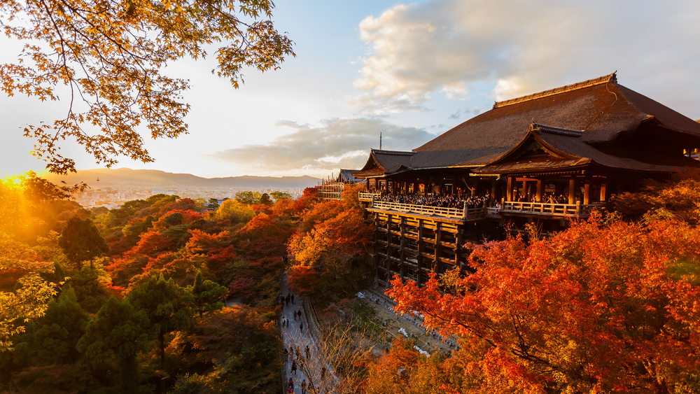 Ein Farbspektakel: Der Tempel Kiyomizudera in Kyoto in der zweiten Novemberhälfte.