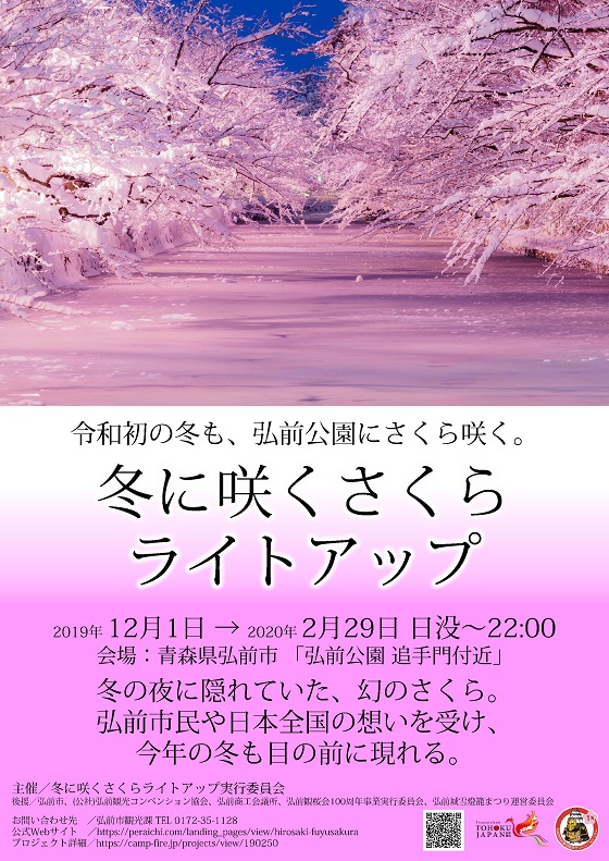Jeweils bis Ende Februar kann man die "Winter-Kirschblüten" von Hirosaki bewundern.