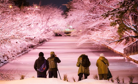 Eine magi­sche Win­ter­land­schaft in Hirosaki.