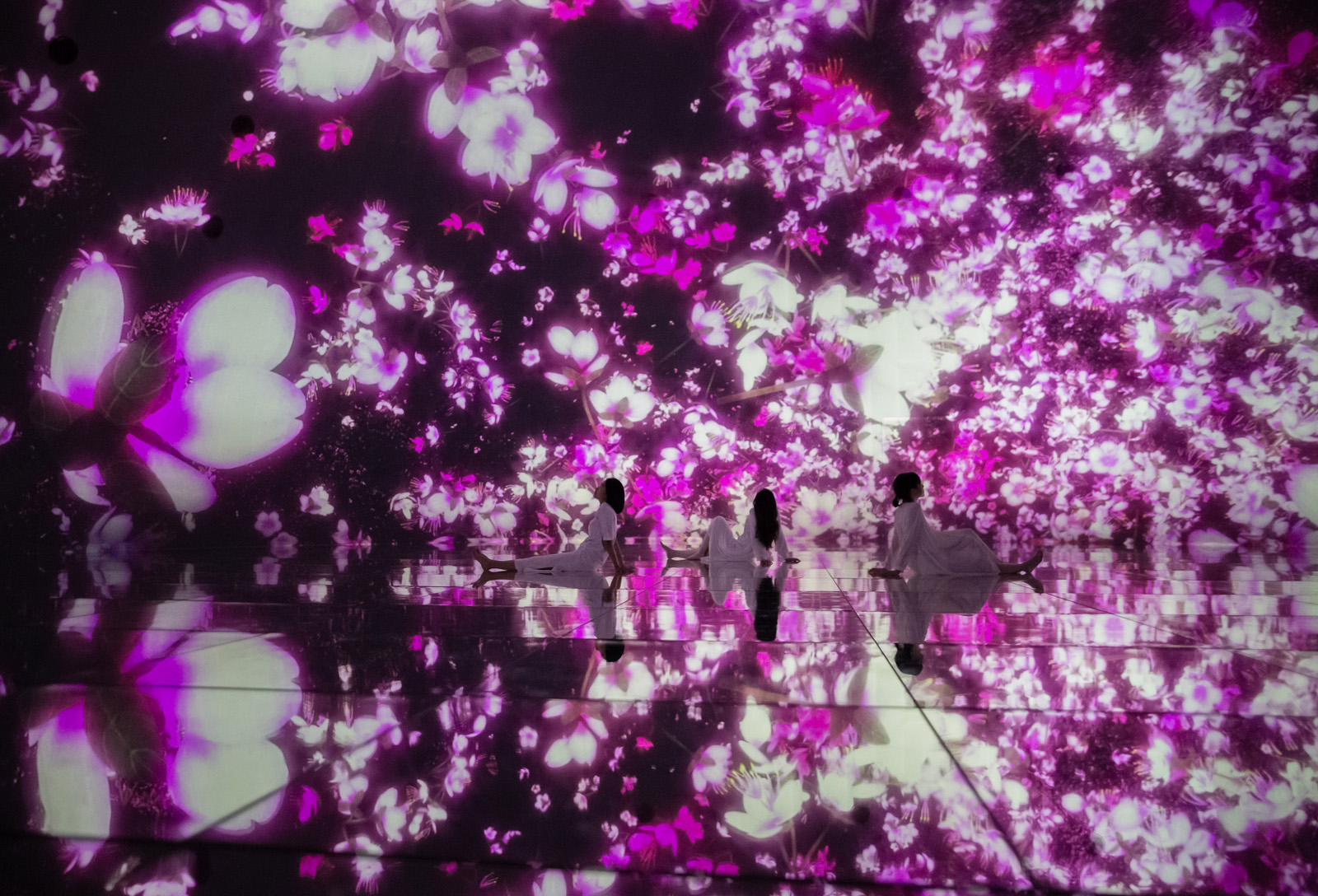 Die digitale Kirschblüten-Welt im teamLab Planets Tokyo.