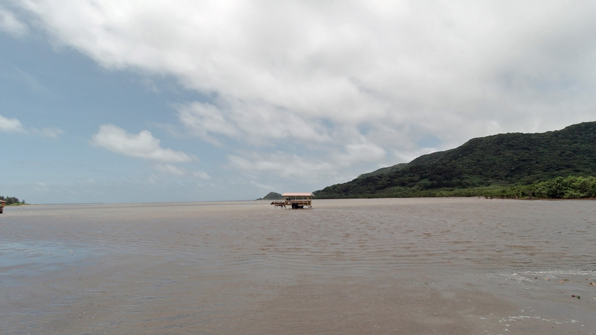 Mit dem Wasserbüffel-Wagen geht aus auf die kleine Insel Yubu.