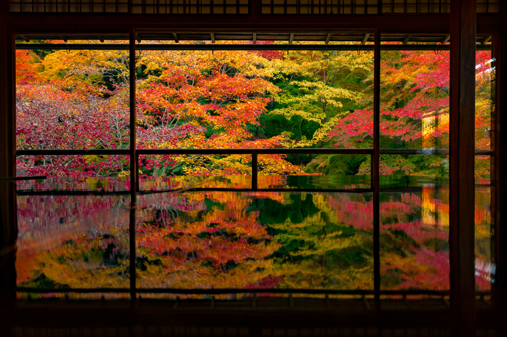 Bald beginnt die Jahreszeit der Farben: Der Rurikōin-Tempel im herbstlichen Kyoto.