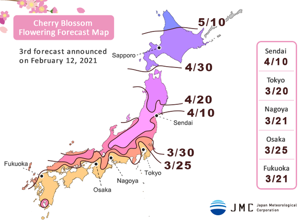 Die Blütenprognose für die Somei-Yoshino-Kirschbäume.