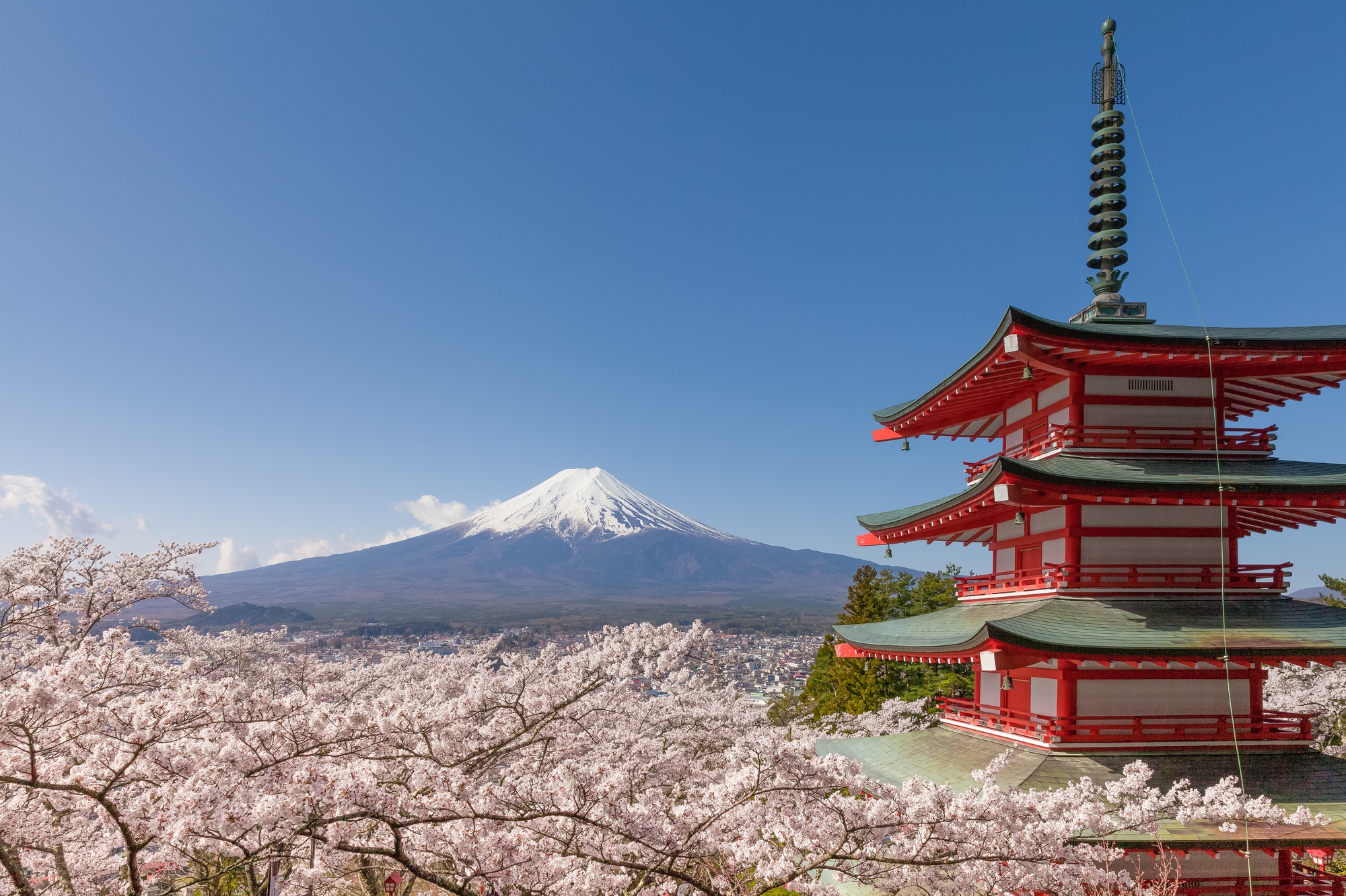 Die Chureito-Pagode, der Fuji und die Kirschblüten.