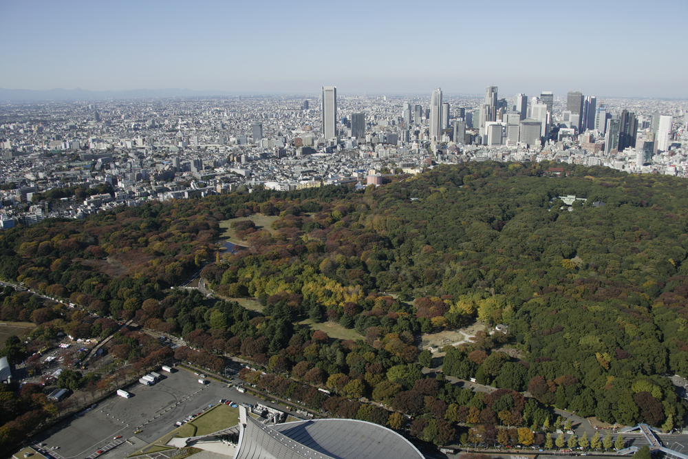 Der Yoyo­gi-Park (lin­ke Sei­te) und der Wald des Mei­ji-Jin­gu-Schreins (rech­te Seite).