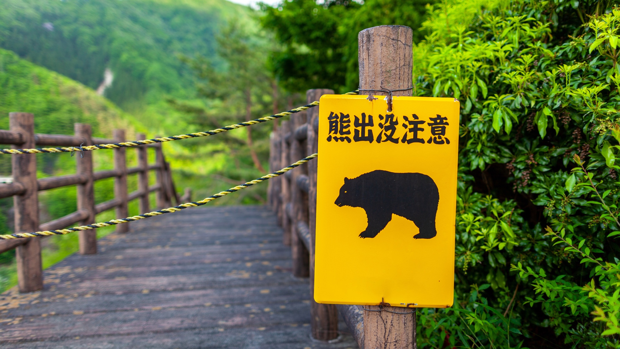 Ein Bären-Warnschild in Japan.