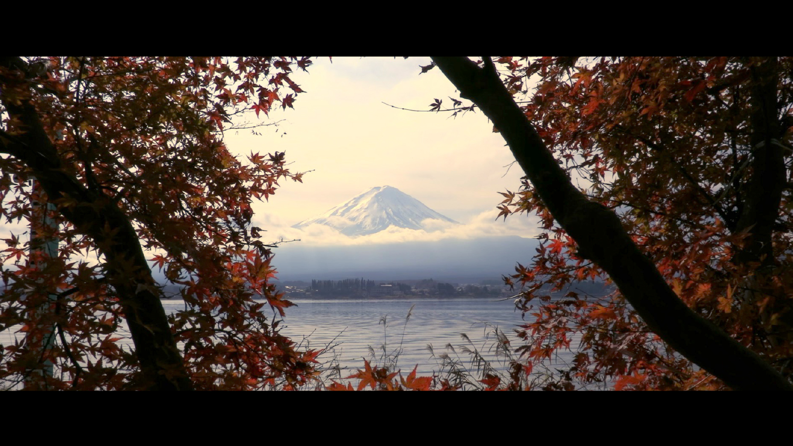 Mehr als ein Berg: Der Fuji im Herbst.