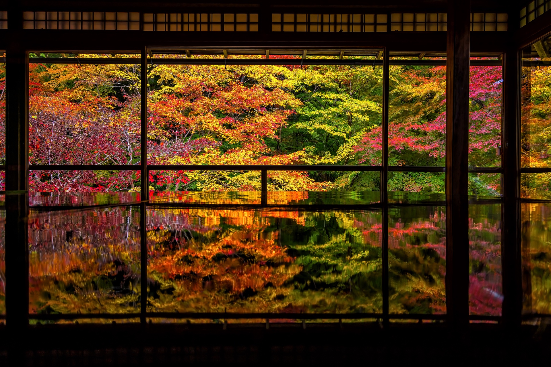 Ein Herbsttag im Tempel Rurikō-in in Kyoto.