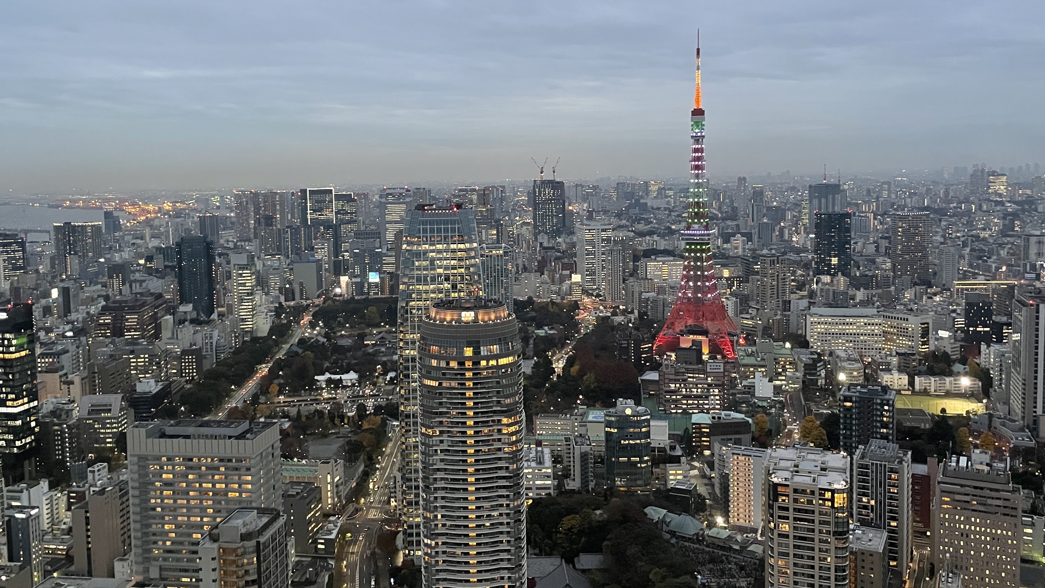 Die Sicht auf die japanische Hauptstadt und den Tokyo Tower.