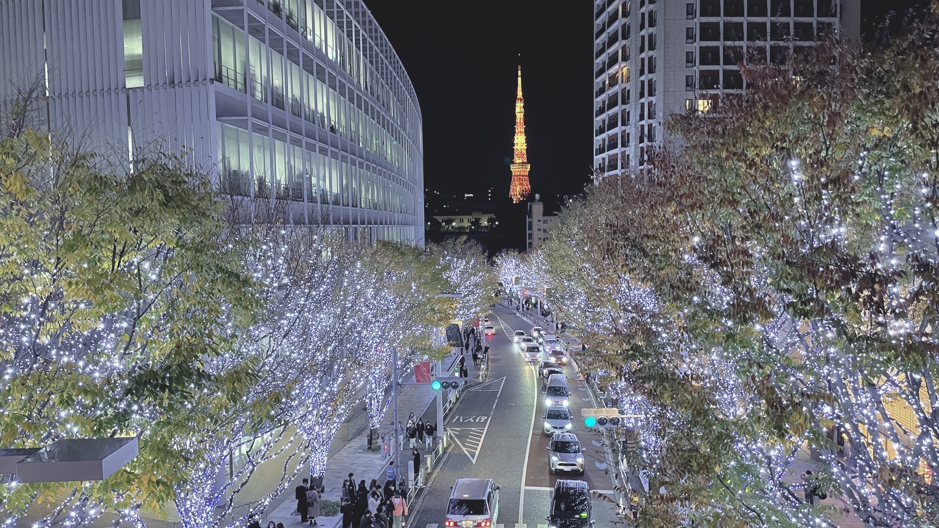 Die Keyakizaka-Illumination mit dem Tokyo Tower im Hintergrund.