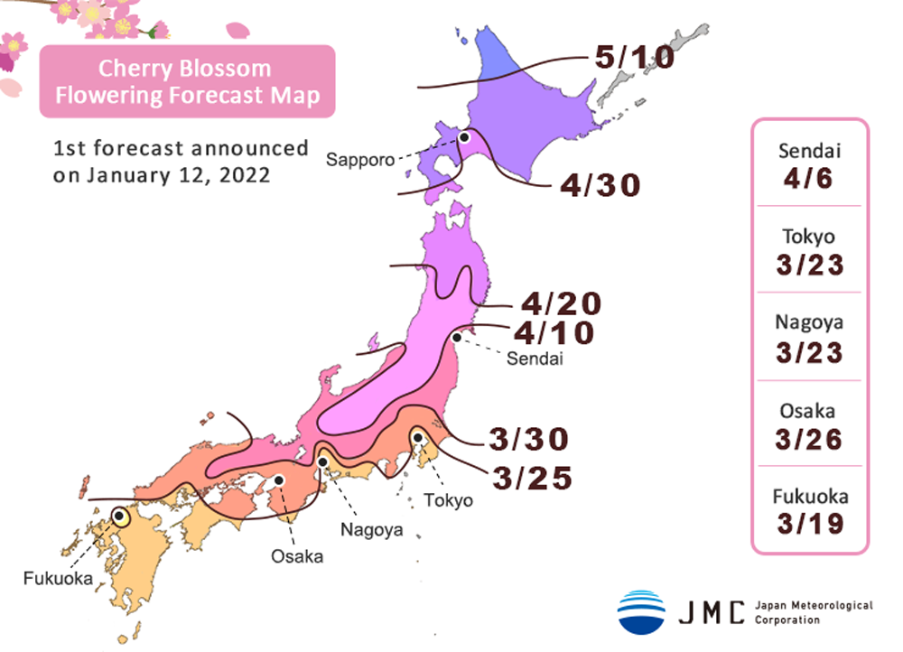 Die erste Kirschblüten-Prognose vom 12. Januar 2022.