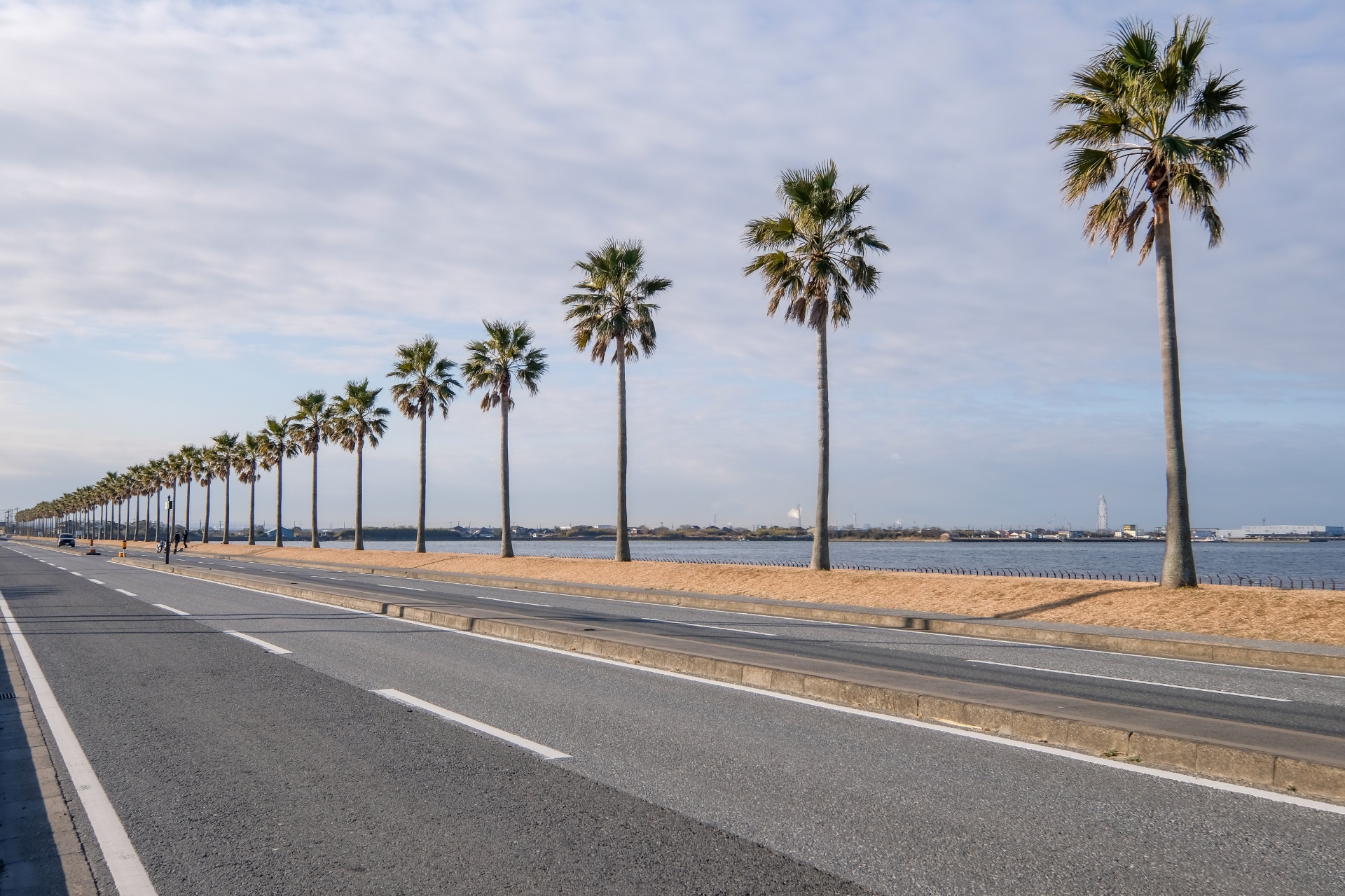 Die Palmen-Strasse von Sodegaura in der Präfektur Chiba.