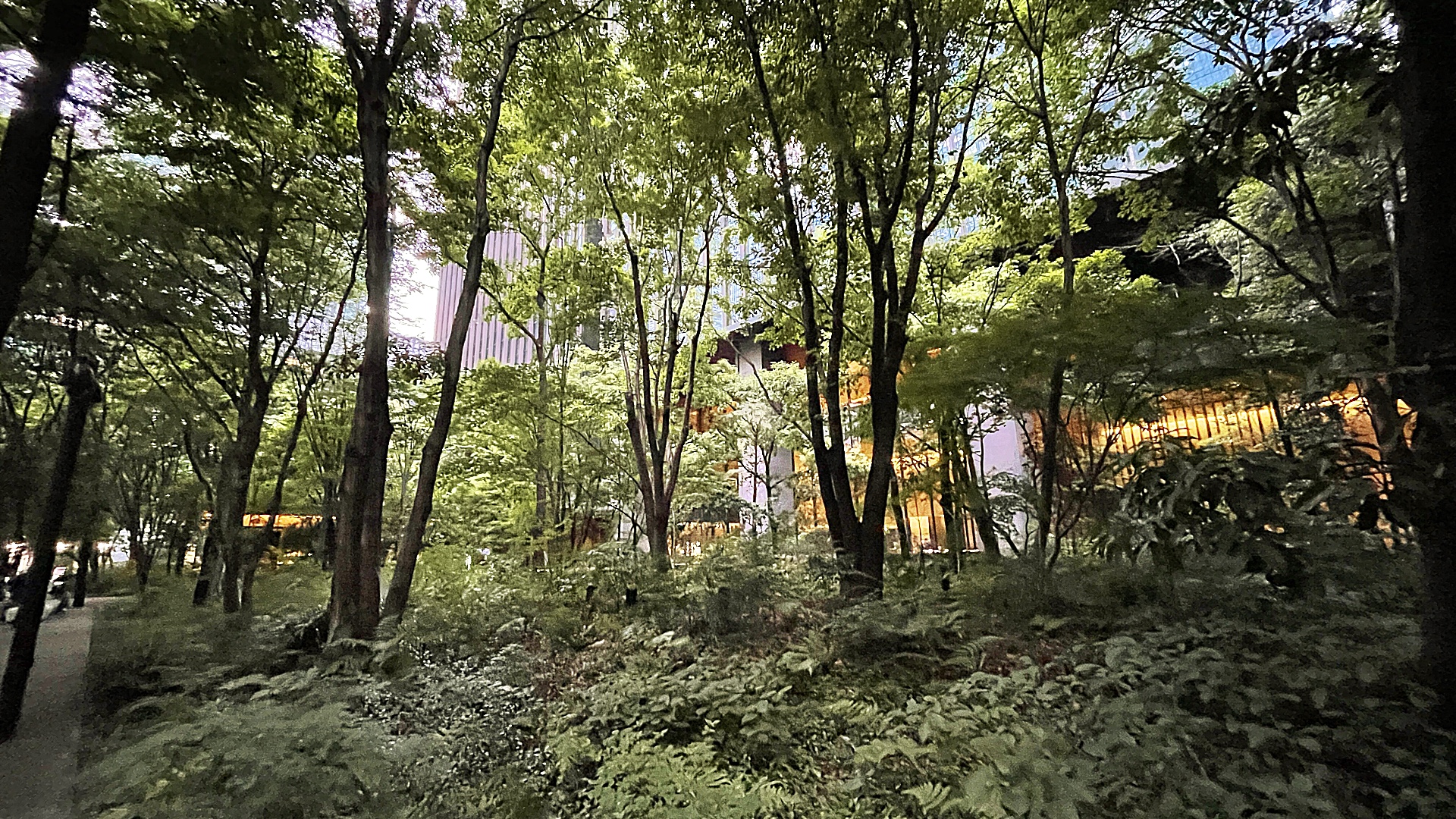 Der Otemachi-Wald in Tokio.