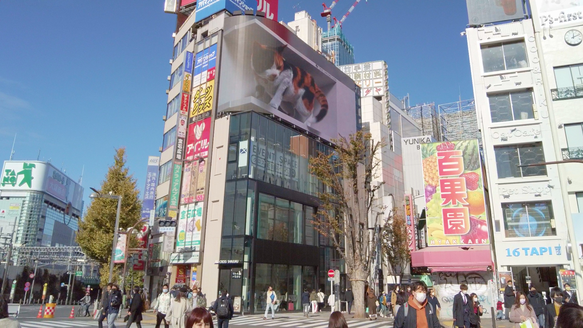 Die 3D-Werbung in Shinjuku.
