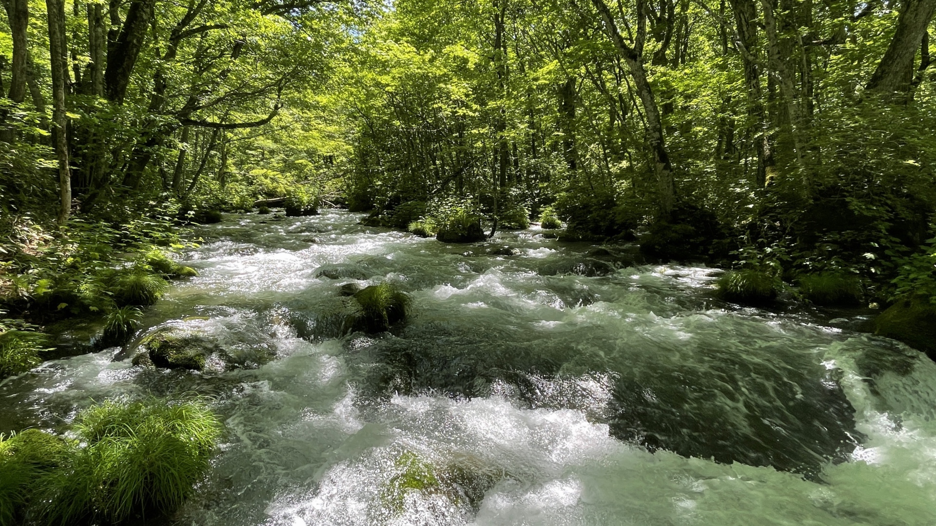Der Oberlauf dieses Flusses ist ein klassischer Wildbach.