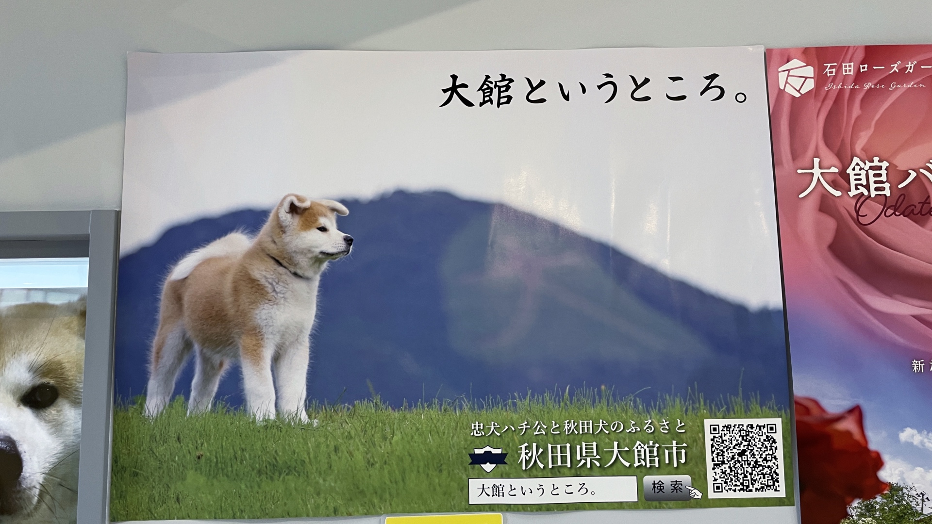 Die Hunderasse Akita ist ein Symbol der gleichnamigen Präfektur.