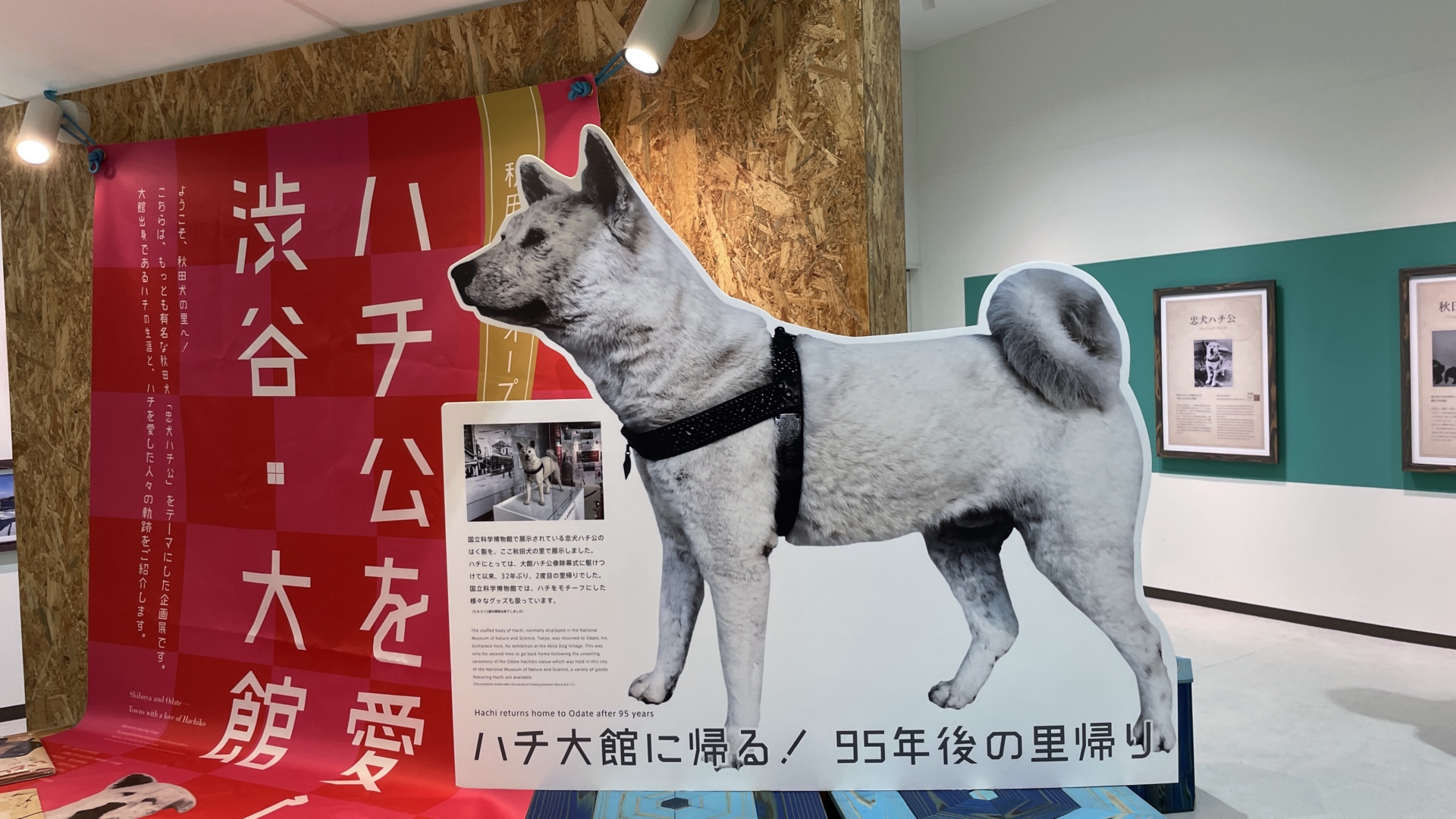 Im Akita Dog Center gibt es einen informativen Ausstellungsbereich.