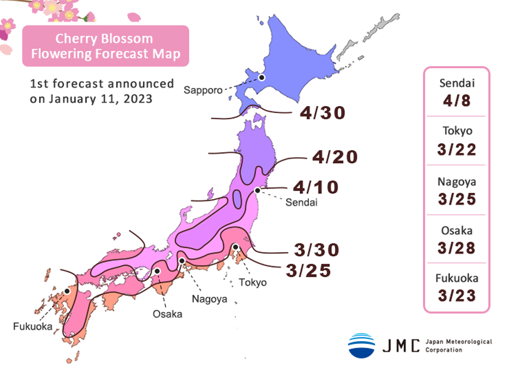 Die erste Prognose für den Beginn der Kirschblütenzeit in Japan.