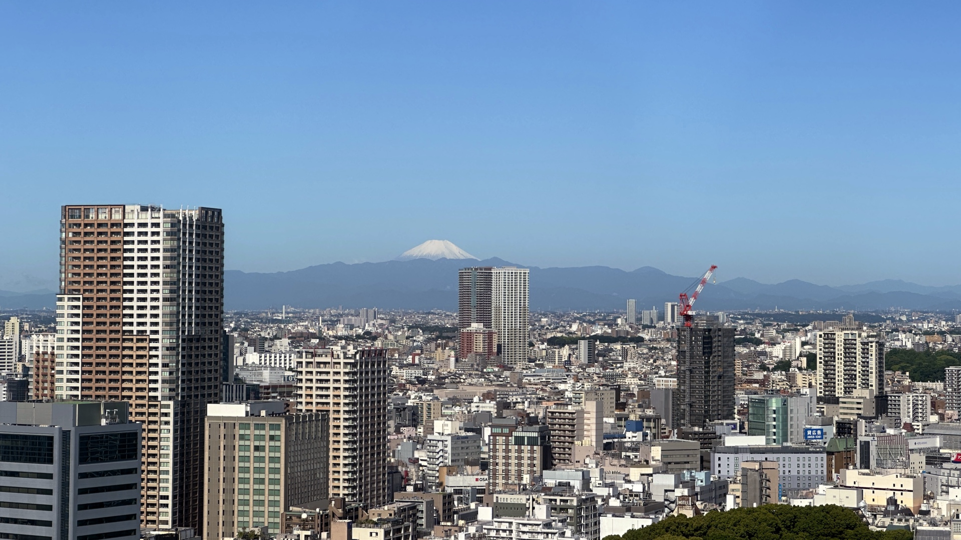 Tokio und der Fuji im Hintergrund.