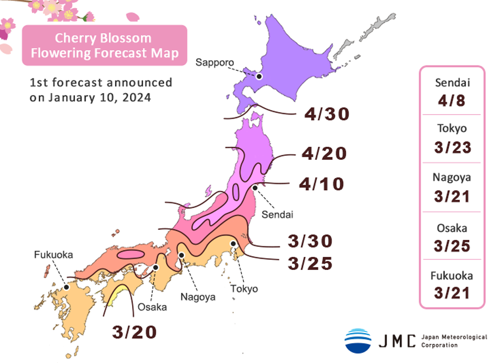 Die erste Kirschblüten-Prognose vom 10. Januar 2024.
