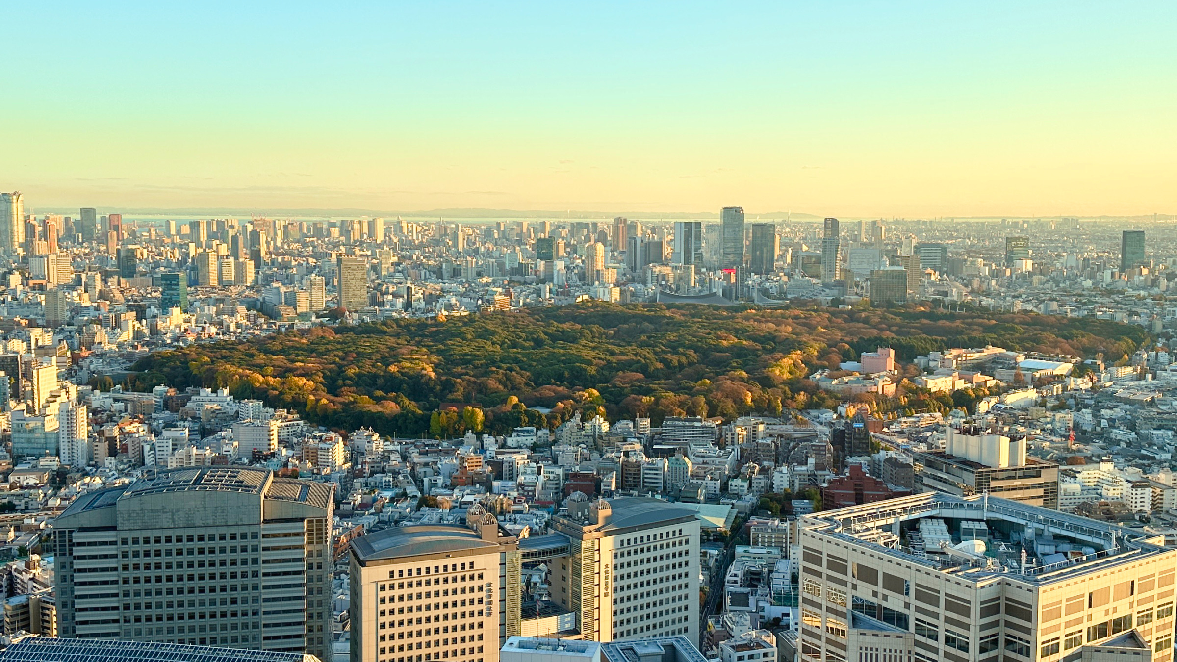 Vogelperspektive auf den Meiji-Jingu-Gyoen und den Yoyogi-Park in Tokio.