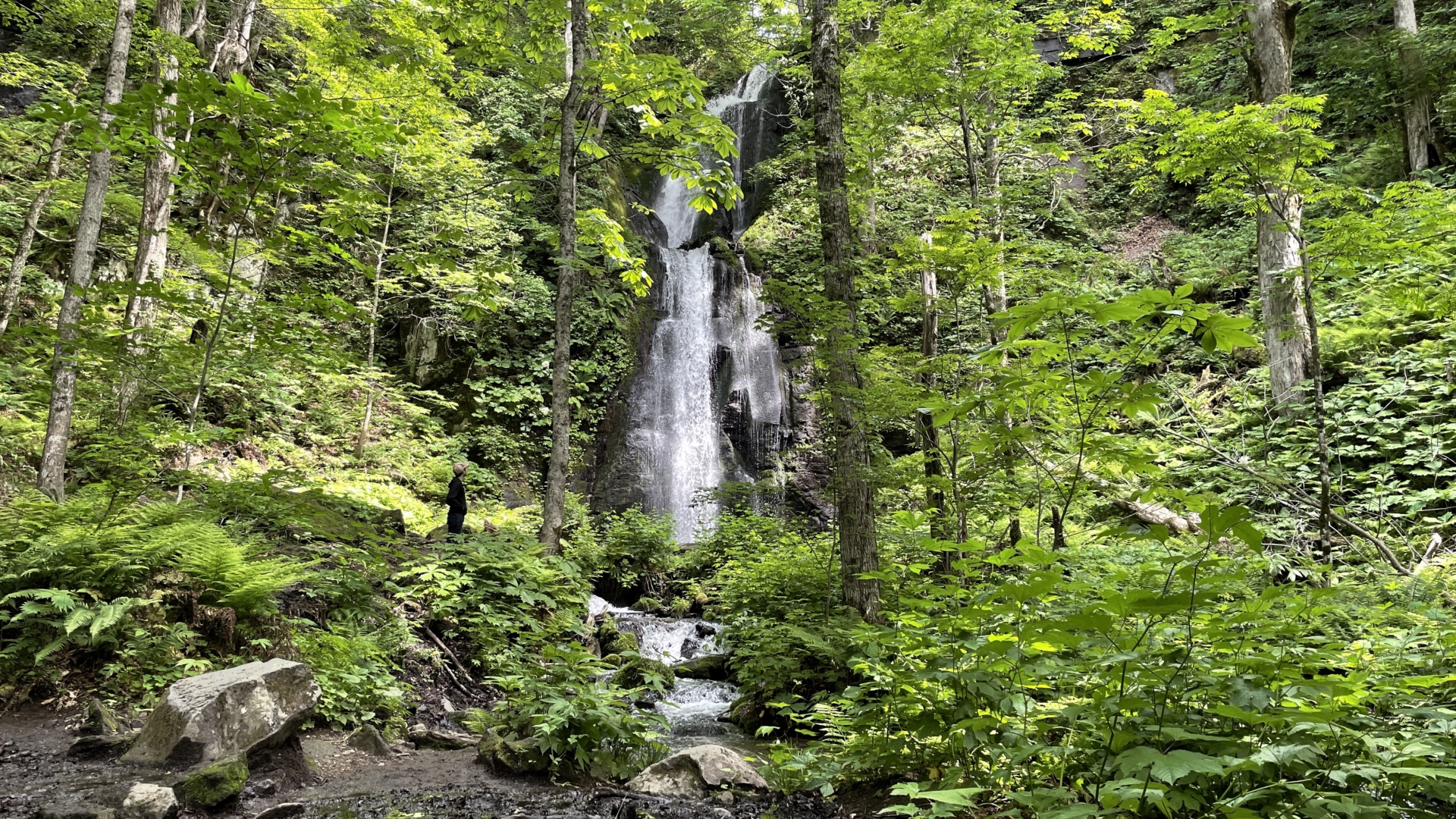 Das Wahr­zei­chen von Oirase: Der Was­ser­fall Kumoi-no-taki.