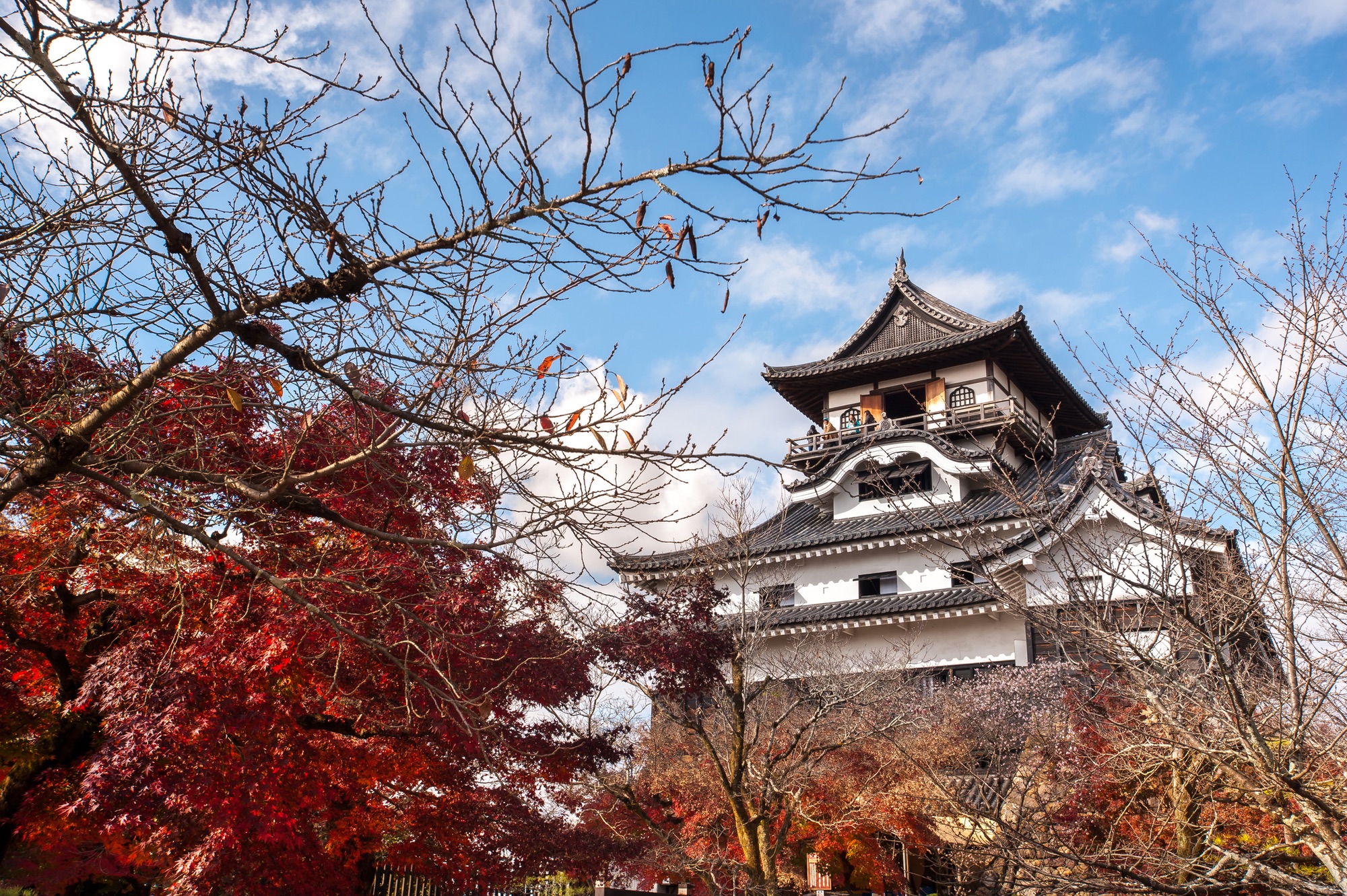 Die Burg von Inuyama im Herbst.